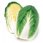 blog-chinese-cabbage