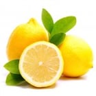 blog-lemons