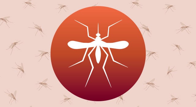 blog-mosquito-control-tips