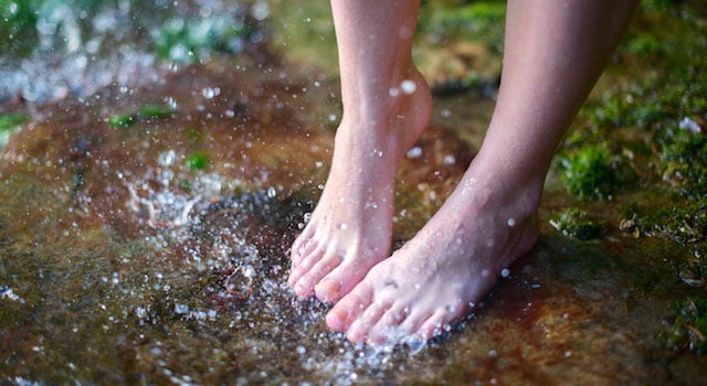 blog-pruney-feet-water