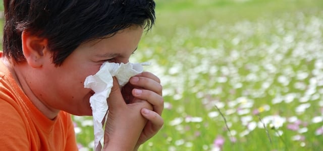 blog-seasonal-allergies-spring