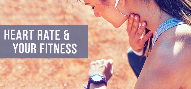 blog-what-does-heart-rate-have-to-do-with-fitness